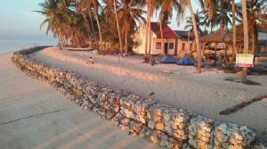 Proyek Talud di Pulau Runduma Ancam Habitat Penyu