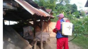 25 Ribu Liter Cairan Disinfektan, Pemda Muna Masif Lakukan Penyemprotan