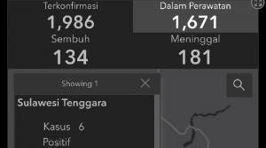 Bukan 6, Positif Corona Sultra 5 Orang, Berikut Penjelasan Jubir Covid-19 !