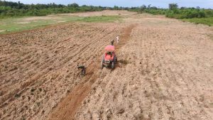 Lanal Kendari Manfaatkan Lahan Tidur Suport Ketahanan Pangan