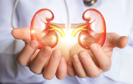 8 Cara Menjaga Kesehatan Ginjal, Tak Hanya Cukup Minum Air Putih