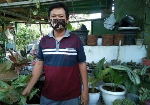 Geliat Bisnis Tanaman Hias di Kota Kendari Saat Pandemi Corona : Omset Tembus Rp 1,5 Juta/hari