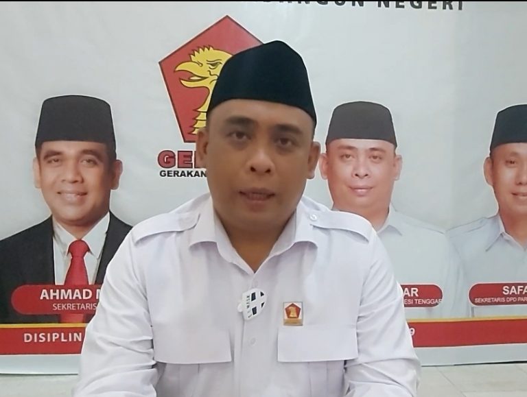Ketua DPD Gerindra Sultra, Andi Ady Aksar.