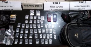 Indra Lesmana dan Dua Rekannya Ditangkap Polisi di Kendari Gegara Edarkan Sabu
