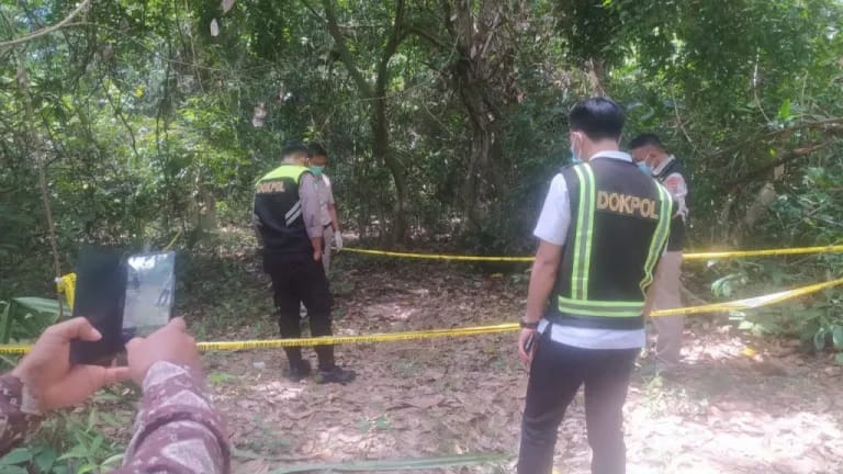 Kronologi Temuan Mayat Bayi Perempuan di Hutan UHO, Diduga Hasil Hubungan Gelap