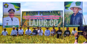 Bupati Kery Minta Pemerintah Pusat Stop Impor Beras Agar Petani Makmur