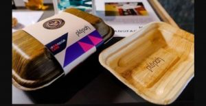 Pelepah Pinang, Alternatif Wadah Makanan Styrofoam Ramah Lingkungan