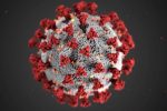 Satgas Ingatkan Soal 4 Varian Baru Virus Corona Yang Jadi Perhatian Who