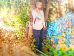 TKA Ditemukan Tewas Gantung Diri di Area PT PMS Konawe