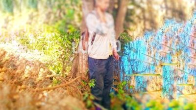 TKA Ditemukan Tewas Gantung Diri di Area PT PMS Konawe