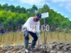 Penanaman mangrove oleh Kepala DLH Sultra, Ansar. Langkah DLH Sultra ini adalah bagian edukasi peran mangrove dalam hal ketahanan mitigasi dan adaptasi nasional terhadap perubahan iklim.