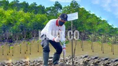 DLH Sultra Genjot 11 Program Kampung Iklim Baru Tahun 2022