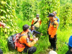 Warga Kolut yang Hilang Cari Rotan di Hutan Ditemukan, Begini Kondisinya