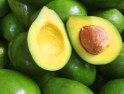 10 Makanan untuk Meningkatkan HDL yang Baik bagi Kesehatan