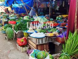 Harga Sembako, Ikan Hingga Sayur Mayur di Kendari Mulai Melambung Jelang Nataru