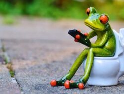Jangan Terlalu Lama Duduk di Dalam Toilet, Ini Bahayanya