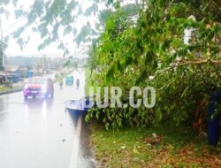 Billboard Raksasa Tumbang Usai Hujan dan Angin Kencang Landa Kota Kendari