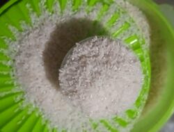 3 Bahan Alami yang Efektif Mengusir Kutu Beras