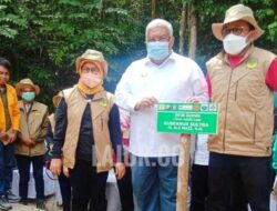 Gubernur Ali Mazi Tanam Jeruk Langka Siompu di Kebun Raya UHO
