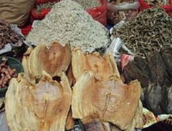 Mitos atau Fakta, Makan Ikan Asin Bisa Picu Kanker?