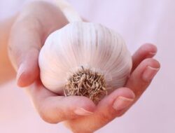 Merawat Kulit dengan Bawang Putih, Begini Caranya