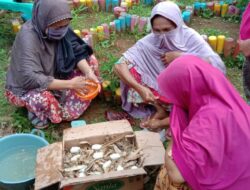 PT Vale Latih Warga Teknik Ramu Obat Herbal
