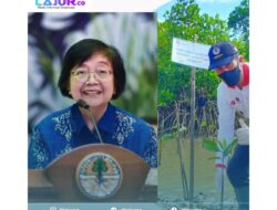 Besok Menteri Siti Nurbaya Landing ke Kendari, Berikut Agendanya