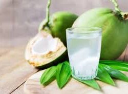 Minum Air Kelapa saat Marak Omicron, Benarkah Dapat Lindungi Tubuh dari Virus?