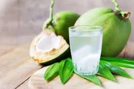 Minum Air Kelapa saat Marak Omicron, Benarkah Dapat Lindungi Tubuh dari Virus?