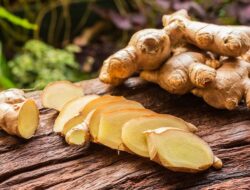 11 Tanaman Herbal untuk Menurunkan Darah Tinggi