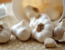 Bawang Putih, Herbal Super untuk Menguatkan Imun Tubuh