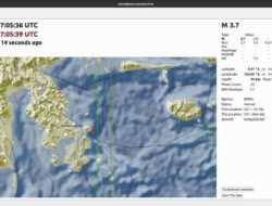 Gempa Bumi Goyang Wawonii, Masyarakat Diminta Tenang