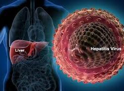 Apa Itu Penyakit Hepatitis?