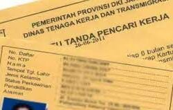 Cara Membuat Kartu Kuning di Disnaker dan Online untuk Melamar Kerja
