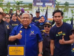 Ali Mazi Aksi Restorasi Mangrove Serentak Diinisiasi Garda Pemuda NasDem