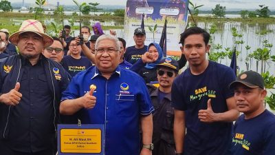 Ali Mazi Aksi Restorasi Mangrove Serentak Diinisiasi Garda Pemuda NasDem