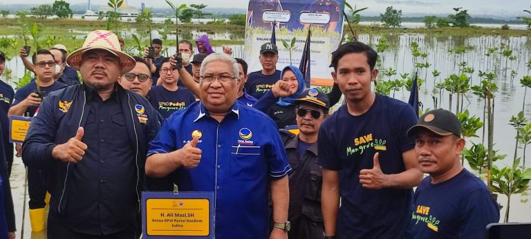 Ketua DPW NasDem Sultra, Ali Mazi menanam mangrove di Teluk Kendari.