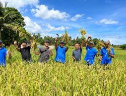 Milenial Pomalaa Melek Pertanian Organik Berkat Support PT Vale