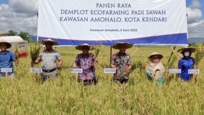 Pemkot Kendari dan BI Kenalkan Program Digital Farming ke Petani Baruga