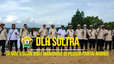 DLH Sultra Tanam Ribuan Bibit Mangrove di Pesisir Pantai Nambo