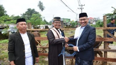 Wali Kota Sulkarnain Jamin 1.982 Hewan Kurban di Kendari Bebas PMK