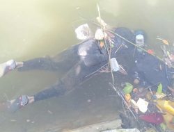 Geger, Mayat Lansia Mengapung di Bibir Teluk Kendari