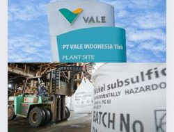 Laba PT Vale Melesat 22 Persen, Angka Kecelakaan Kerja Nihil