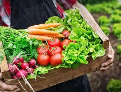 7 Makanan Untuk Detoks Tubuh Ini Aman Dikonsumsi Setiap Hari