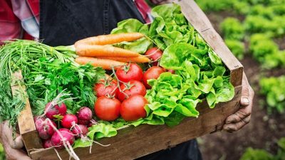 7 Makanan Untuk Detoks Tubuh Ini Aman Dikonsumsi Setiap Hari