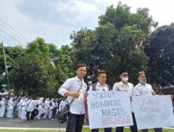 Kriteria Honorer yang Bisa Ikut Seleksi CPNS dan PPPK