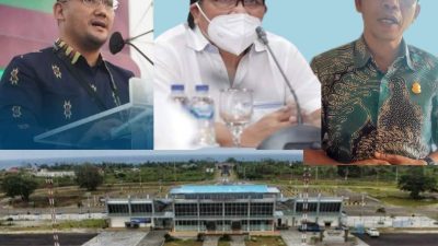 Sarankan Skema Subsidi Atau Pengurangan Intensitas Agar Wings Air Kembali Mengudara di Wakatobi