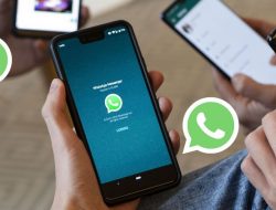 WhatsApp Akan Batasi Siapa yang Bisa Melihat Status Online Pengguna