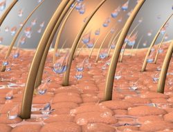 8 Cara Memperbaiki Skin Barrier Rusak secara Alami dan Perawatan Tepat
