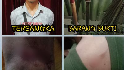 Mahasiswa UHO yang Bacok Tetangganya Gegara Ogah Ditegur Menyanyi Dicokok Polisi